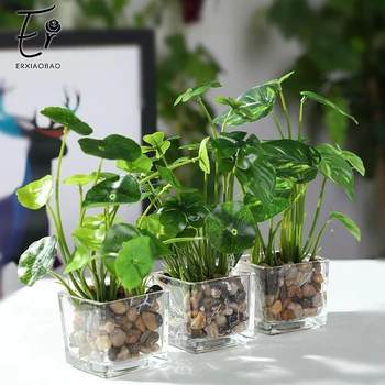 

Erxiaobao Artificial Plants with Glass Pot Simulation Bonsai Potted Placed Green Four-leaf Clover Home Table Windows Decoration