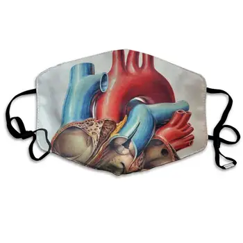 

Human Anatomy Heart Chart Anti Dust Half Face Mouth Mask, Unisex Cotton Warm Fashion Adjustable Washable Mask