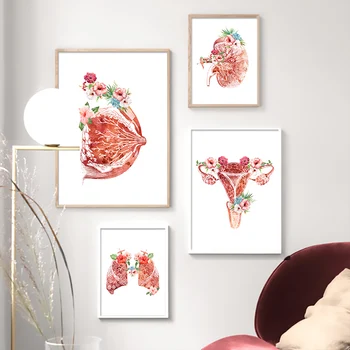 

Flower Breast Uterus Kidney Liver Anatomy Wall Art Canvas Painting Nordic Posters And Prints Wall Pictures For Doctors Office