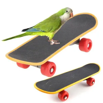 

Mini Training Skateboard For Bird Parrot Standing Swing Sport Training Toys Until-smooth Fingerboard Parakeet Growth Toy