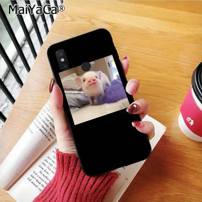 Couples Cartoon Lovely Pink Pet Pig
