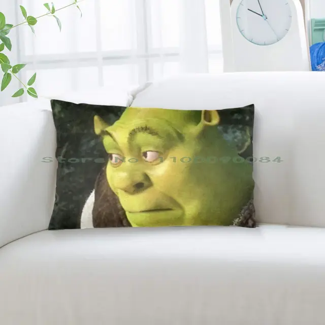 Shrek Meme Pillow Case Printed 35x50 Shrek Meme Png Shrek Face Shrek Meme  Face Shrek Png