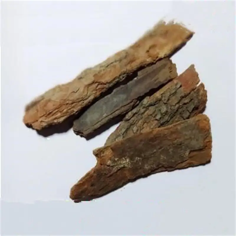 

Eucalyptus bark, herbal 500g , vomiting and diarrhea, warm stomach , Antibacterial