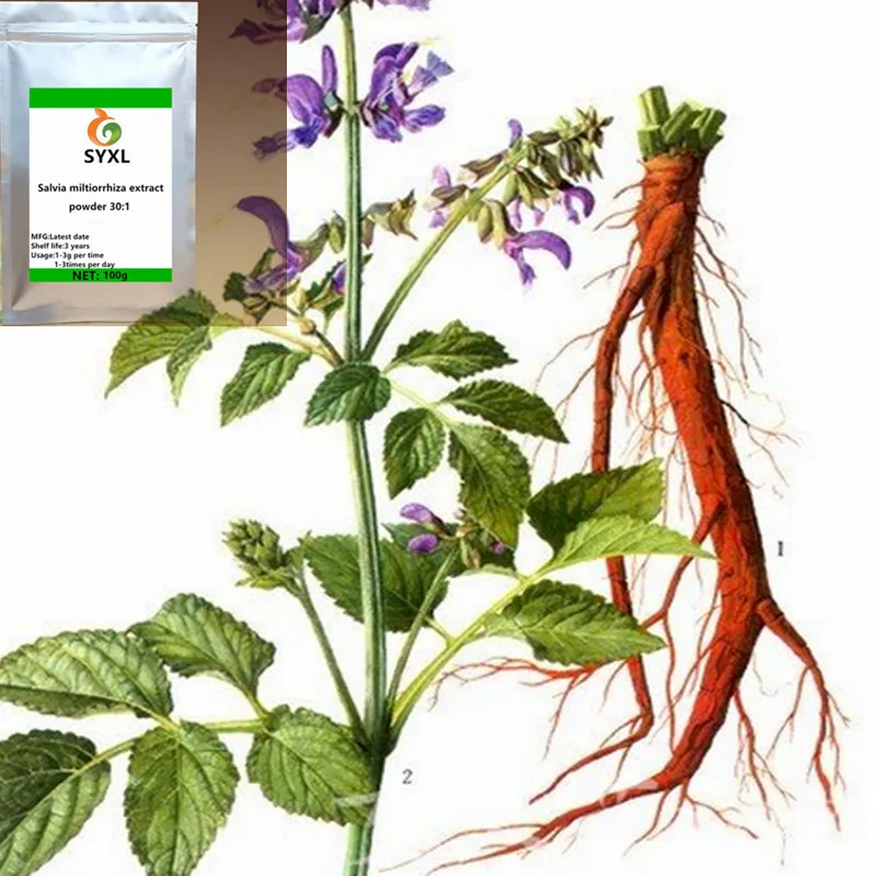 Salvia extract. Корень красного шалфея. порошок salvia miltiorrhiza показание. порошок salvia miltiorrhiza в стиках. шалвия.