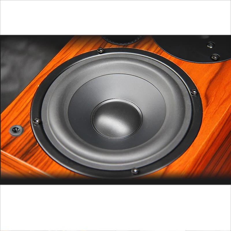 KYYSLB M501 10~ 80W 4 Ohm 5 Inch Surround Box HIFI