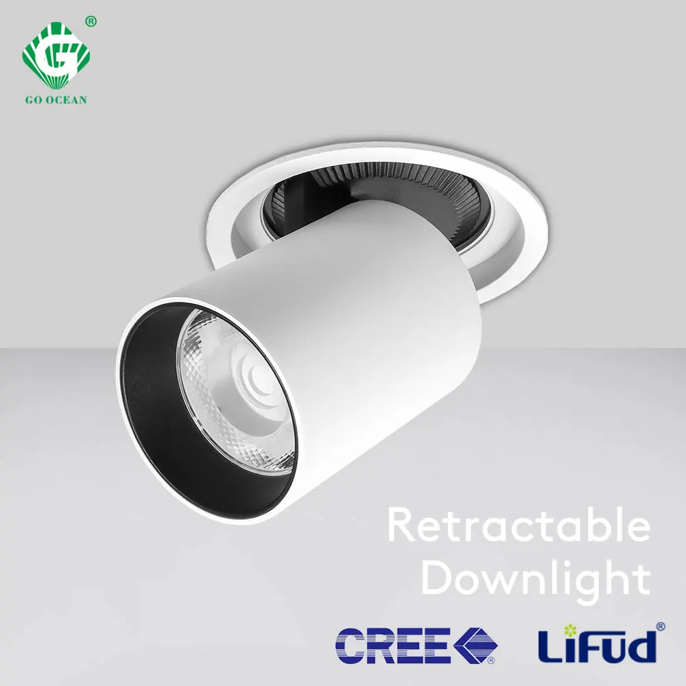 

COB 12W 25W Downlight 360 Degree Adjustable Recessed Indoor Kitchen Rotatable Surface Mounted LED Down Lamp Gallery