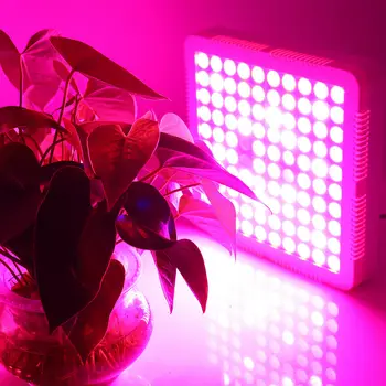 

2000W led grow light full spectrum LED Grow Light Full Spectrum Red/Blue/UV/IR For Indoor Plants VEG BLOOM