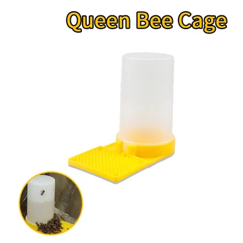 

10pcs Beekeeping Plastic Bees Feeder Beekeeping Equipment and Tools for Beekeeper HDBF-002Y