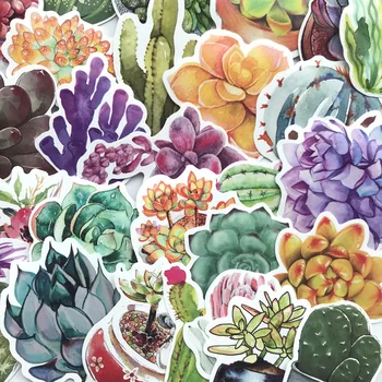 

70pcs Kpop Stickers Pack Green Plant Succulents Waterproof Creative Space Stationery Notebook Suitcase Bicycle Fridge Decoration