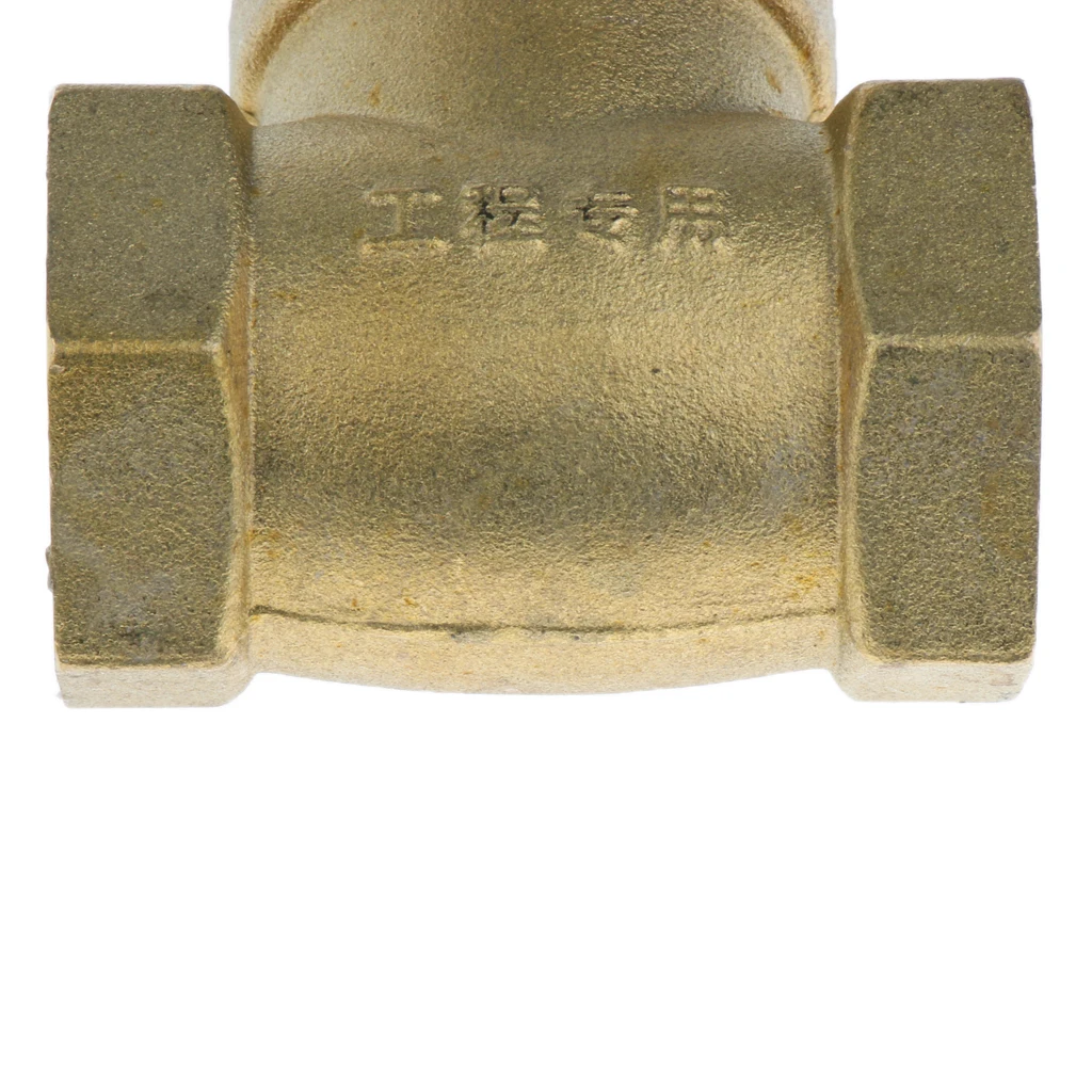 1-inch Internal Thread DN25 Brass Shut-off Valve One-way Check Valve