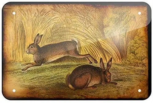 

Rabbit Vintage Tin Wall Sign Painting Vintage Hanging Metal Plaque Poster Retro Art Bar Store Home Decoration 20 x 30 cm