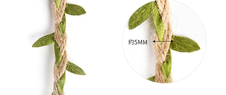 O1CN01kUQ4oV29ilSGqJoCr_!!2488548102