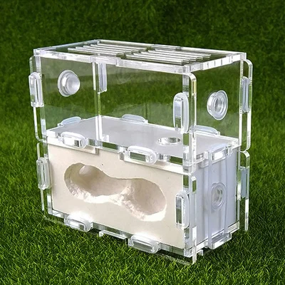 Gypsum & Acrylic Ants Nest Ants Farm House For Small Living Colonies Ants Pets Ant