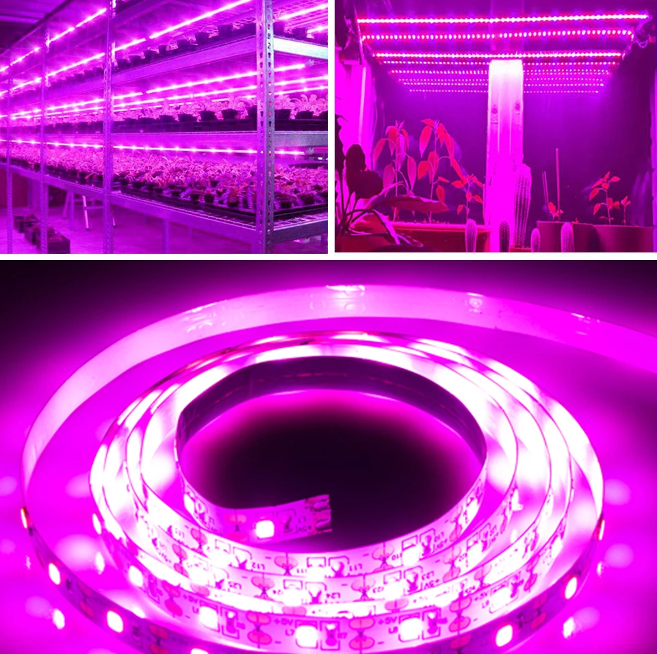 USB Phytolamps for Plants 5V LED Grow Light Strip 2835 Chip 1m 2m 3m LED Phyto Tape for Hydroponic Greenhouse Seedlings Growth (9)