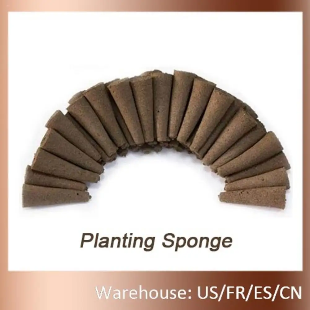 Grow Sponge Seed Starter Pods Senza Semi Aero Garden Seed Root Sponge Plug Per Hydroponic Indoor Garden Kit Germinazione Dei Semi