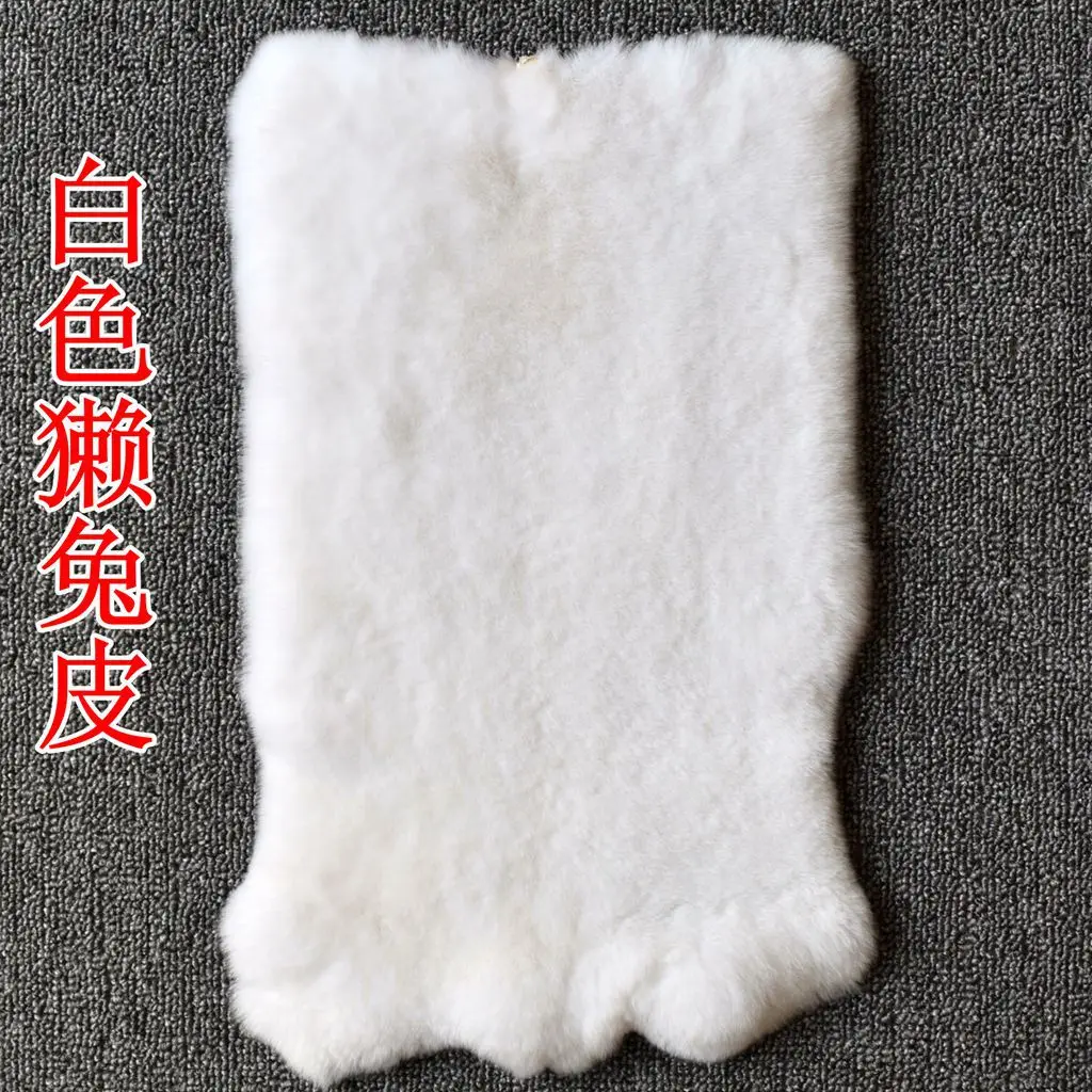 CSC_0447_