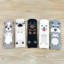  Women Socks Popular New Cartoon Pug Kitten Pattern Cotton Socks High Comment High Quality Gifts Funny Cute Socks Woman 