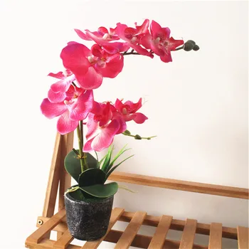 

Simulation Flower Phalaenopsis Bonsai Creative Fashion Home Decoration Artificial Fake Flower Simulation Plant