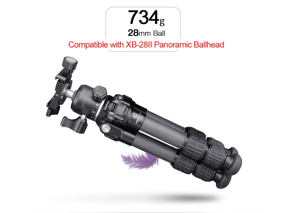 T1C30N速卖通-20190828_06