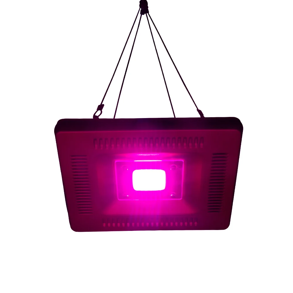 

Led Hydroponic Growth Light 50w 80w 100w Led Grow Bulb Full Spectrum 220V UV Lamp Plant Flower Seedling Fitolamp