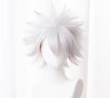 

Japanese Anime Demon Slayer: Kimetsu no Yaiba Shinazugawa Sanemi Cosplay Wigs Synthetic Hair Sliver Short Hair + free hair cap
