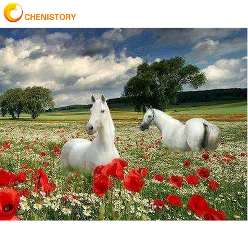 6487玫瑰地白马-封面图