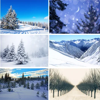 

Vinyl Custom Photography Backdrops Prop Winter landscape Theme Photography Background 200309HD-05