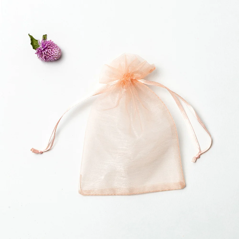 50PCS Garden Vegetables Fruit Grow Plants Protection Bags Anti-Bird Gardening Drawstring Netting Candy Grape Apple Mesh Pouch 