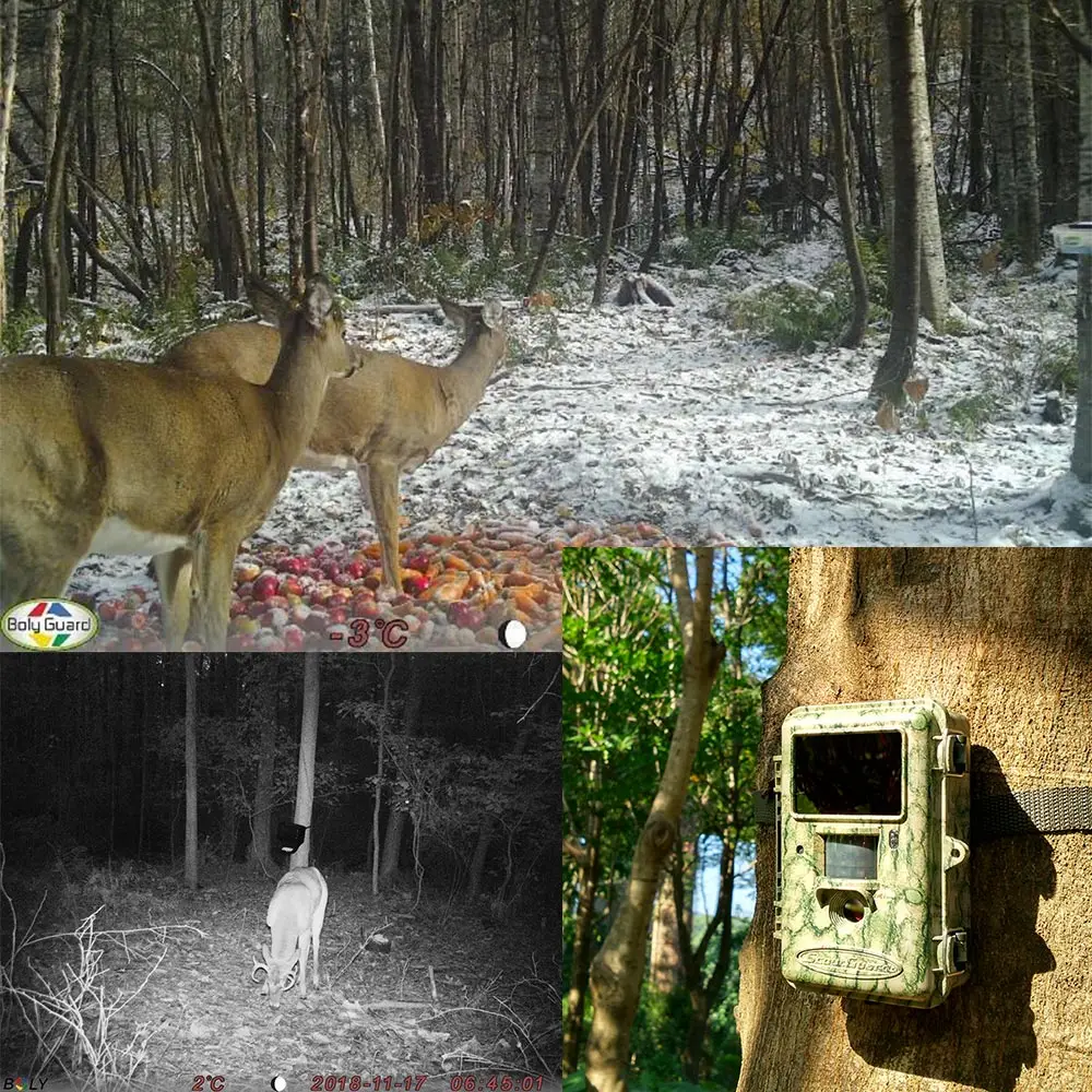 Bolyguard 18MP черный IR trail камеры для игр в охоту 100ft Обнаружение foto ловушки для диких животных Олень трейлинг