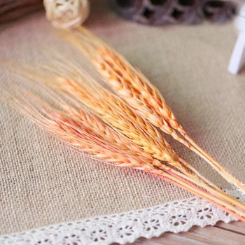 

100pcs natural orange color dried ear of wheat bouquets&orange color wheat ear Bunches