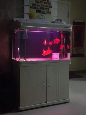 HTB1fq9dbN9YBuNjy0Ffq6xIsVXa1