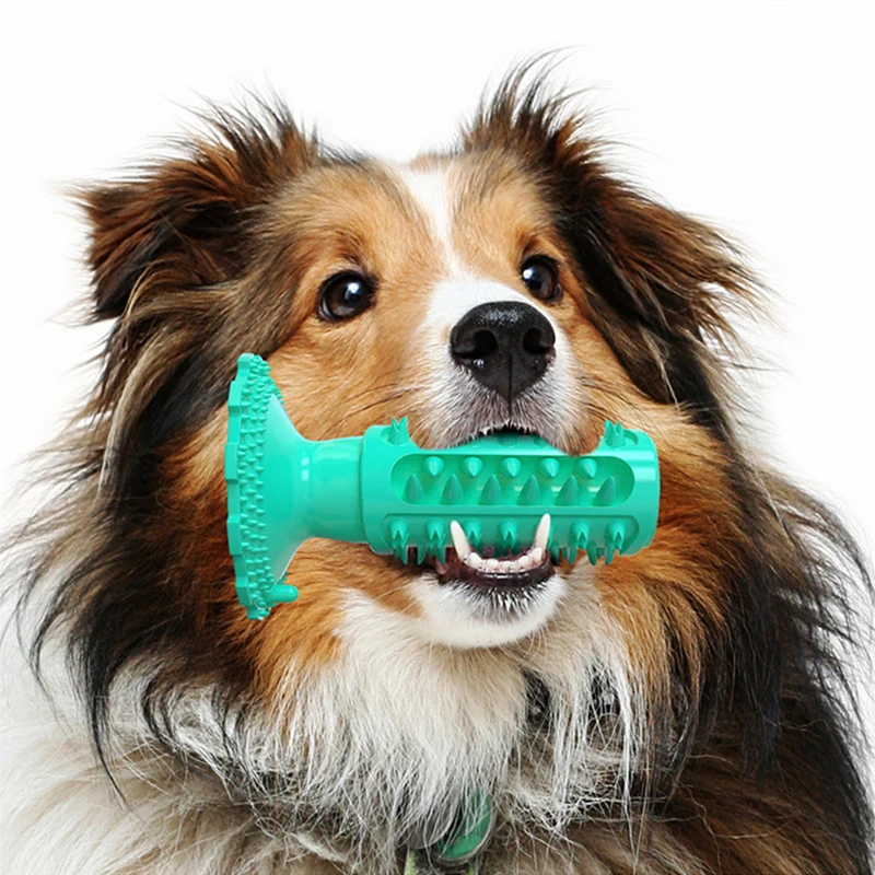Pet Dog Toothbrush TPR Washable Squeaky Dog Chew Toy Dog Brush Bad Breath Tartar Funny Puppy Teeth Cleaning Pet Supplies for Dog