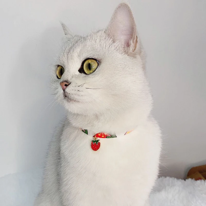 23448155693_1199050608