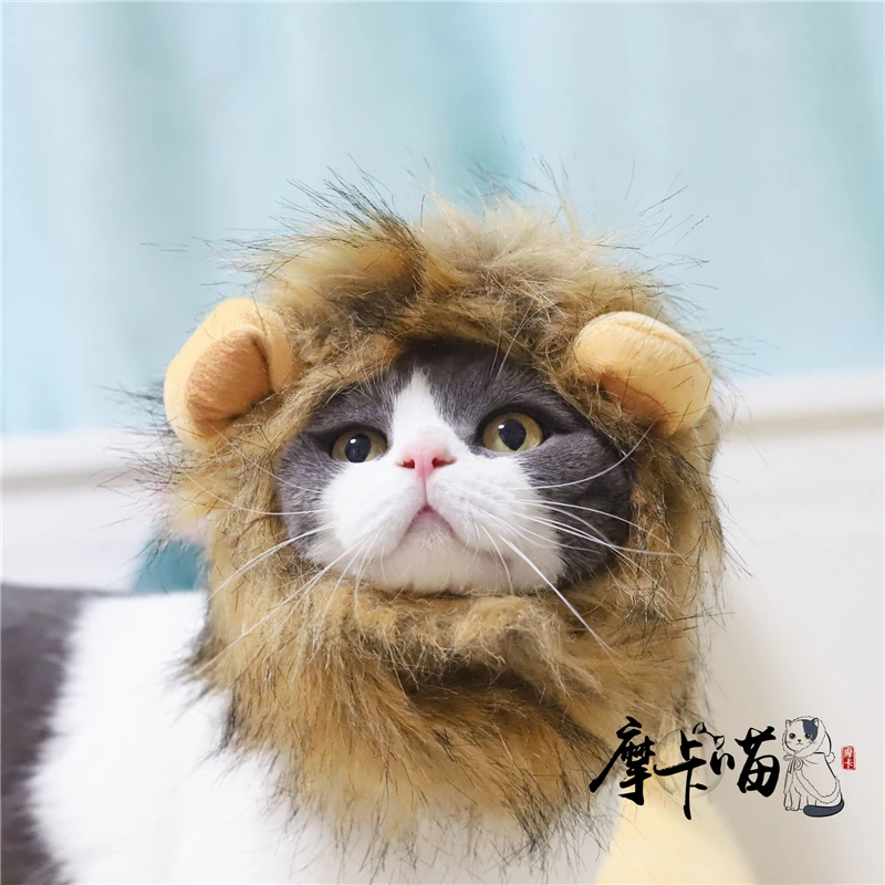 Moka, king of the jungle, mascota, sombrero de León, sombrero de perro mascota, peluca de León, sombrero para gatos| - AliExpress