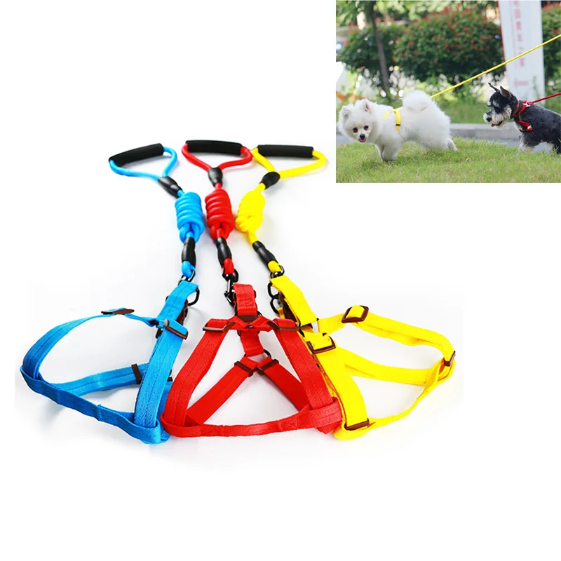 

Dog Leash Running Walk Train for Large Small Cat Pets Leashes Elastic Reflective Safety Rope Tenacity Traction Rope