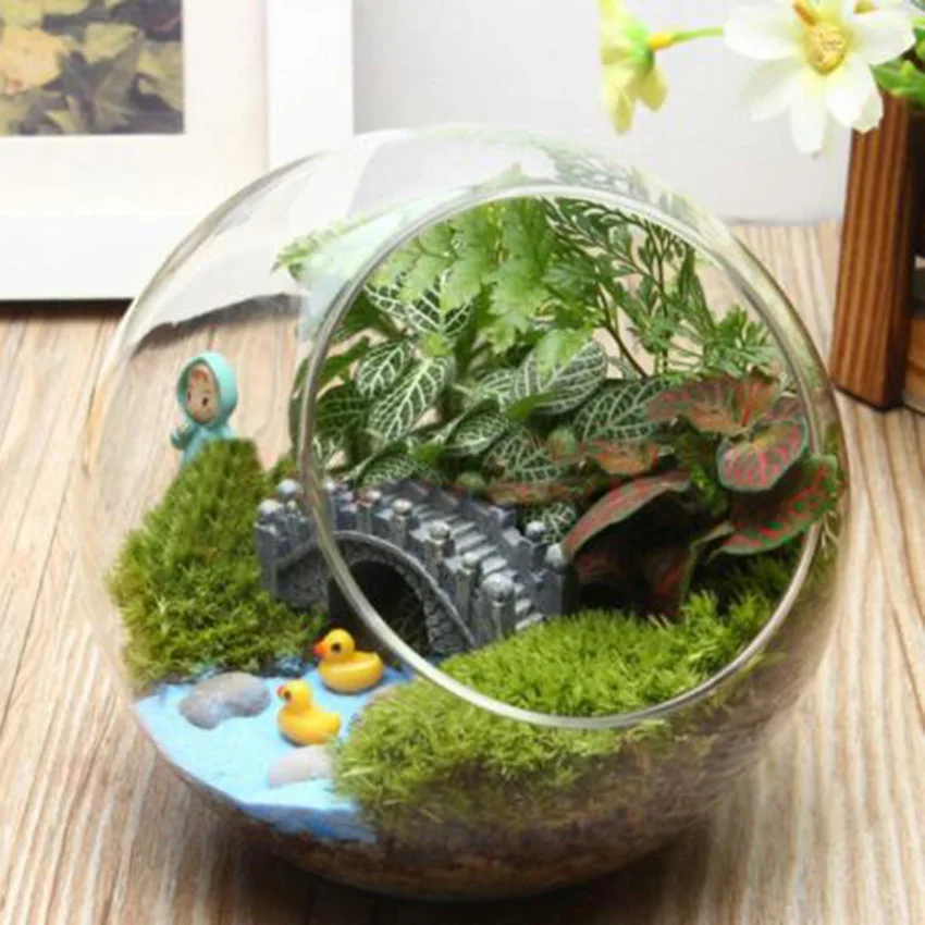 Round Globe Ball Glass Hanging Plant Terrarium Flower Vase Pot Wedding Decor New Round Globe Ball Glass Hanging Plant Terrarium Flower Vase Pot Wedding Decor New