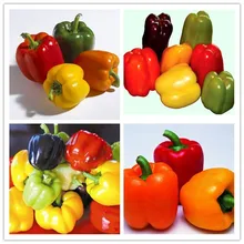 Красочный бонсай из растения сладкого перца, Желтый Фиолетовый Красный Зеленый Белый Оранжевый Черный микс сладкий колокольчик перец сад-100 частицы растений
