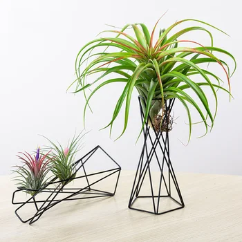 

Air Plant Holder Geometric Iron Tillandsia Holder For Home Garden Ornaments Plant Containers Flower Racks Home Decoration