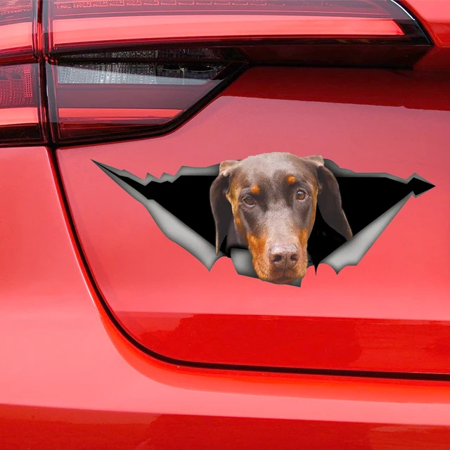 Braundobermann Auto Aufkleber, Doberman Aufkleber, Dobermann