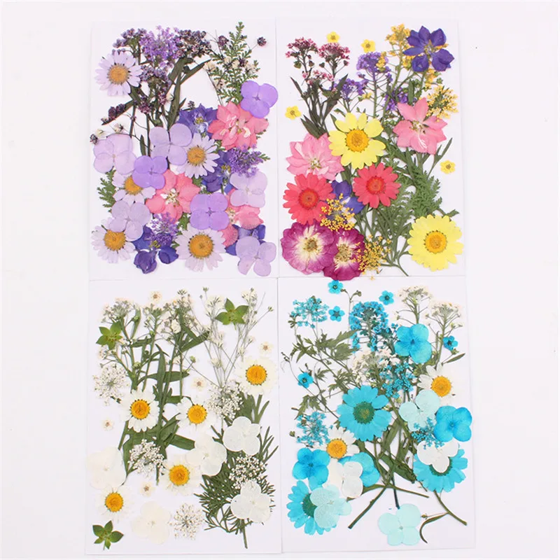 

Natural Dried Flowers combination DIY Pressed Herbarium Flower Decorative Crafts filler jewelry making Handmade material package