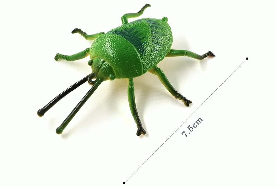 详情页-12款-SML-3个尺寸-彩色昆虫等_18