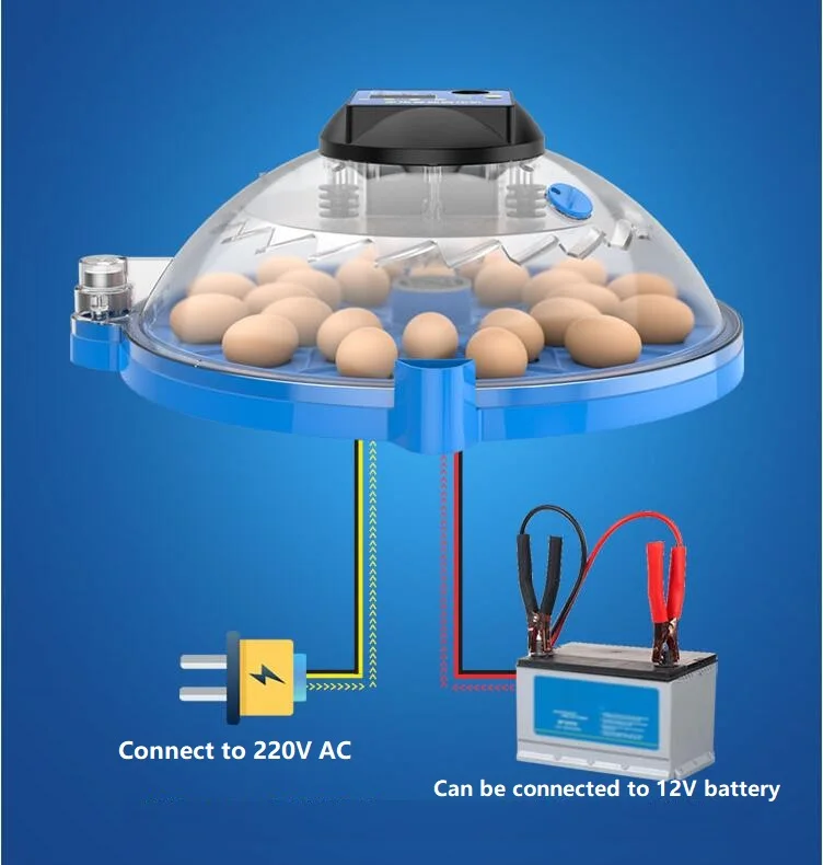 L13P2TWP{B5CL{FON2L$VIK