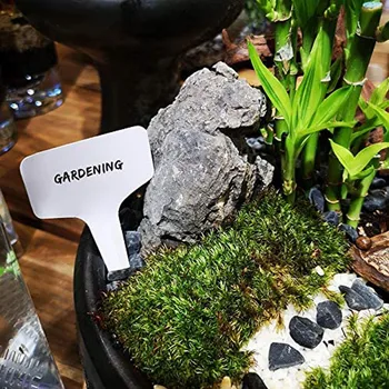 

Plant Label Card T Type Plant Label 500PC Garden Planting Vegetables And Fruits Classification Distinction Label Card #YL5