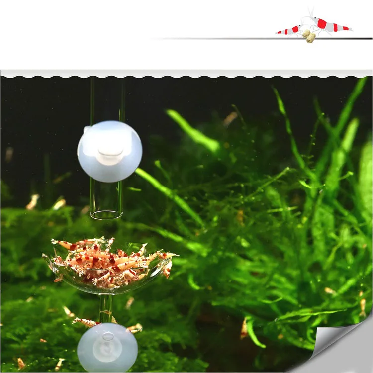 O1CN01lY0Ust1VbonMEeTZi_!!756162672