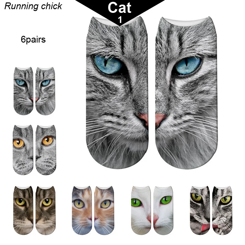 cat1111