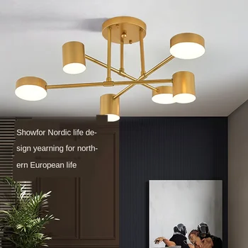

Wide Voltage Cross-Border Ceiling Lamp Bedroom Ceiling Lamp LED Lighting Ceiling Light Indoor Outlet Chandelier
