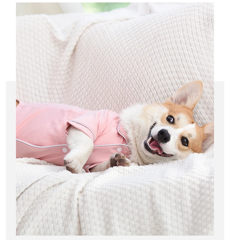 O1CN012FKx3q1xKhHE1CGwP_!!2201412856425