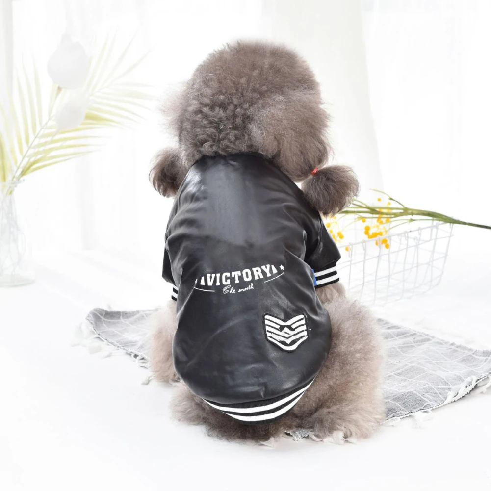 Top 129+ puppycat leather jacket latest jtcvietnam.edu.vn