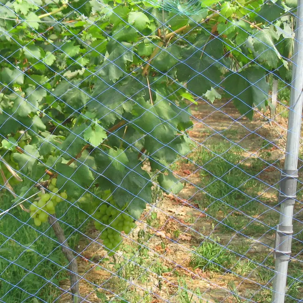 Garden Plant Protection Nylon Net Plant Vines Climbing Support Crops Fruit Vegetable Anti Bird Protective Net Orchard Farm Fence