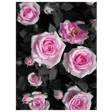 Розовый цветок Алмазная Вышивка Фото на заказ, полный квадратный круглый алмазная живопись «сделай сам» мозаика ручной работы 3d вышивка крестиком Розы изображения